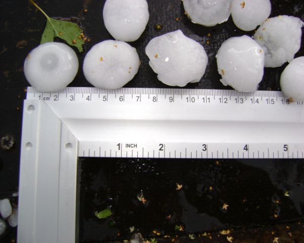 DSC01510-1.jpg