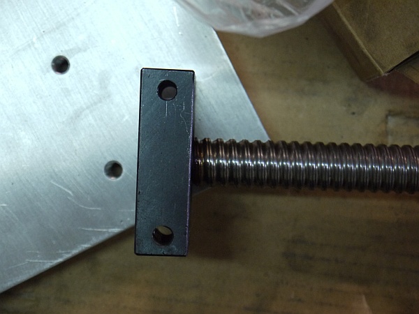 P1060713m.jpg