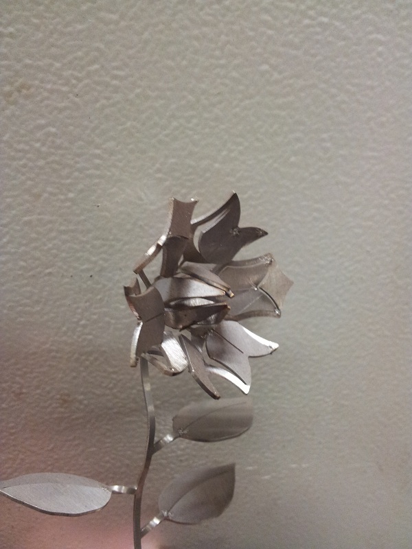 20130531_002942.jpg