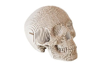 xcardboard-skull_553_21662.jpg.pagespeed.ic.nfY70vi0w7.jpg