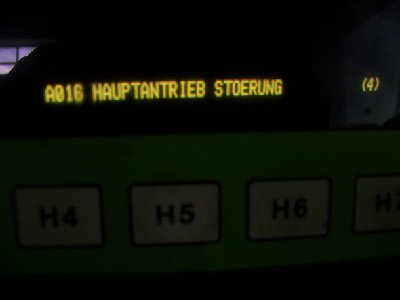 100_5131 (Kopiowanie).JPG