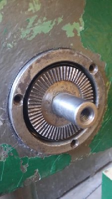 20170413_165111.jpg