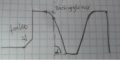 rys2.jpg