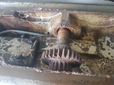 20180901_130134.jpg