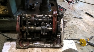 WP_20190210_11_17_47_Pro.jpg