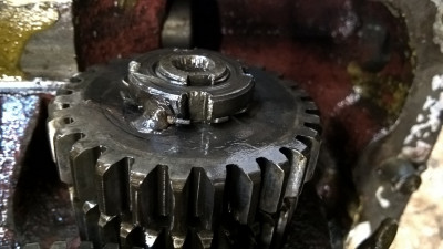 WP_20190210_11_17_52_Pro.jpg