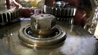 WP_20190210_11_18_06_Pro.jpg