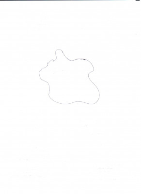 Scan0003.jpg
