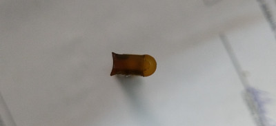 IMG_20200524_103440.jpg