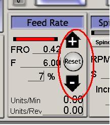 feed rat.JPG