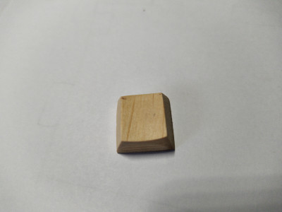 IMG_20201004_113254.jpg