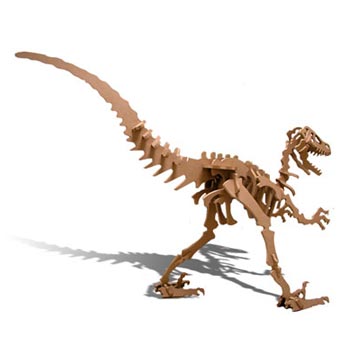 raptor_standing.jpg
