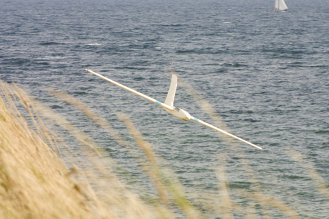 CRW_6691-1.jpg